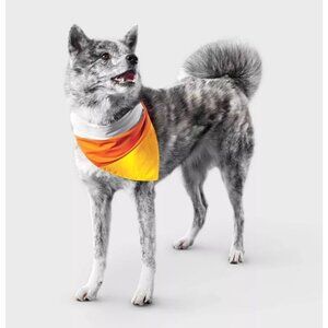 Reflective Candy Corn Costume Dog Bandana - Boots & Barkley™ One Size Fits Most